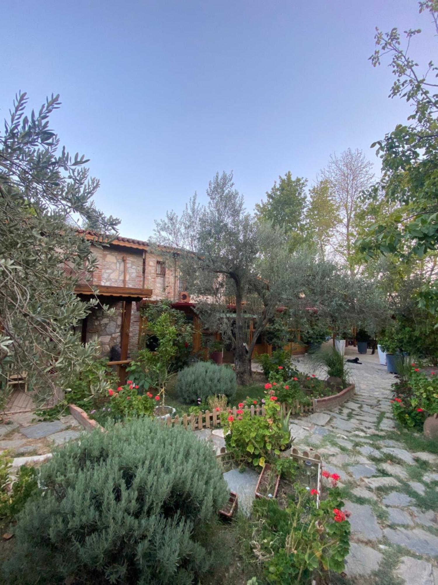 Pavelin Yeri Otel Edremit  Exterior photo